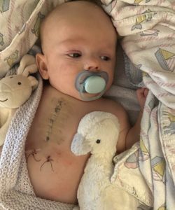 img_3933-250x300-5121730-9381980