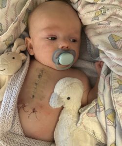 img_3933-250x300-5121730