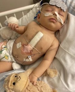 img_3935-245x300-9047961-8762915